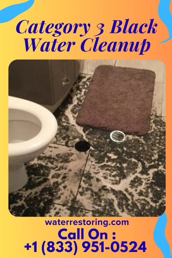 Category 3 Black Water Cleanup in Fort Plain, NY