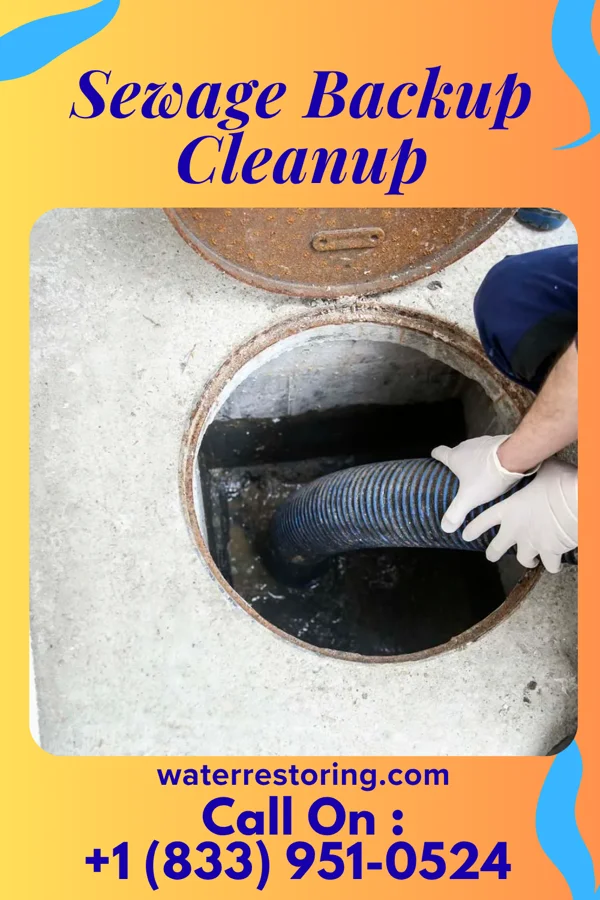 Sewage Backup Cleanup in Fort Plain, NY